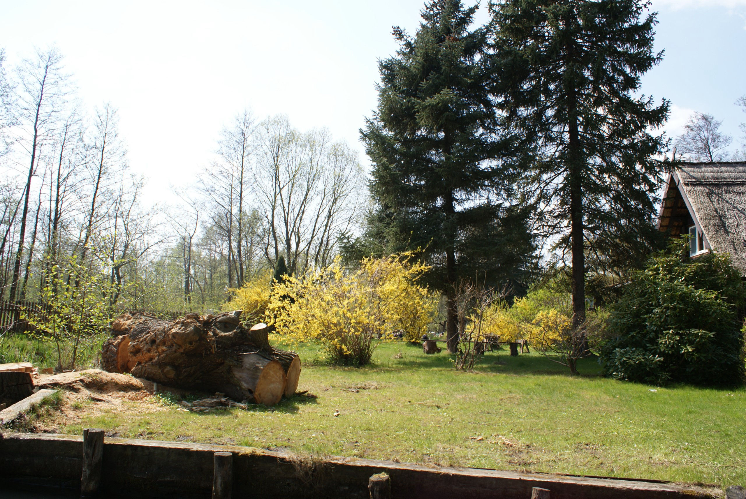 placeholder image-sq